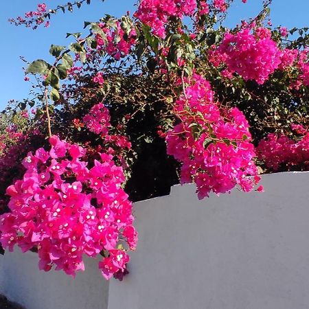 La Casa Del Nonno Bed & Breakfast Milazzo Exterior foto
