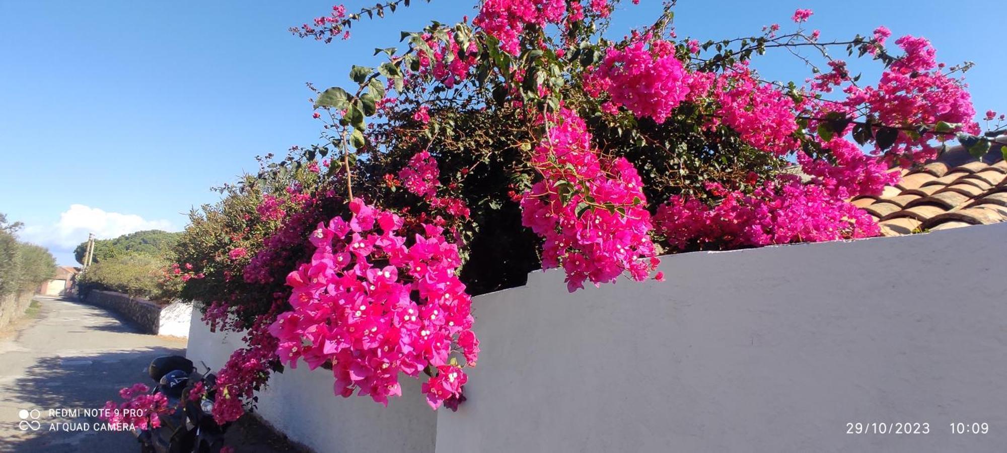La Casa Del Nonno Bed & Breakfast Milazzo Exterior foto